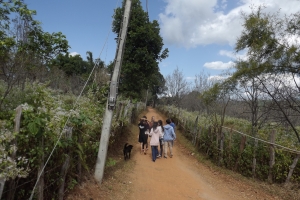 Off to Chedede's new home!